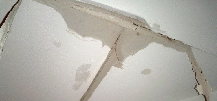 Metal Roof Specialist Alhambra
